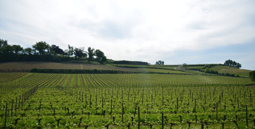 Bordeaux Mérignac: ενοικίαση ιδιωτικού τζετ 