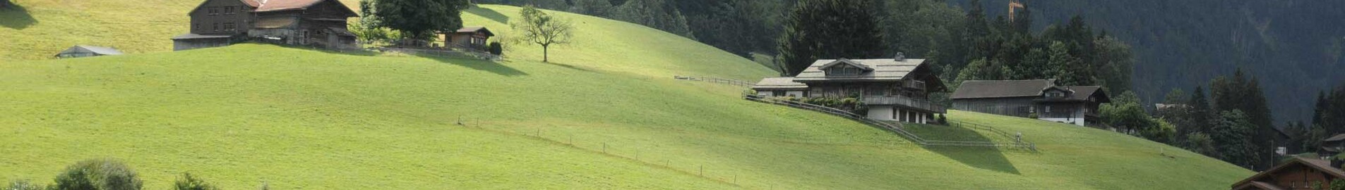 Παρίσι - Gstaad : ενοικίαση ιδιωτικού τζετ 