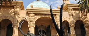Γιοχάνεσμπουργκ : ενοικίαση ιδιωτικού τζετ 
