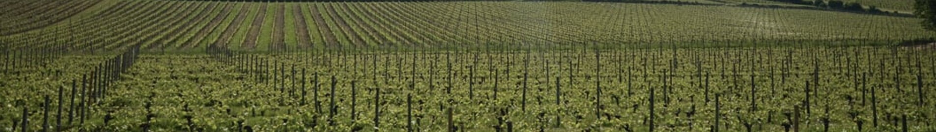 Bordeaux Mérignac: ενοικίαση ιδιωτικού τζετ 
