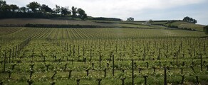 Bordeaux Mérignac: ενοικίαση ιδιωτικού τζετ 