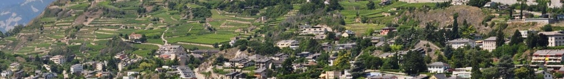 Sion : ενοικίαση ιδιωτικού τζετ 