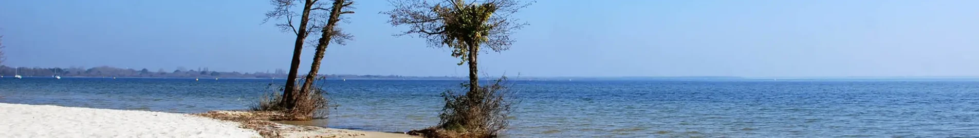 Base Aérienne Cazaux: ενοικίαση ιδιωτικού τζετ 