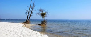 Base Aérienne Cazaux: ενοικίαση ιδιωτικού τζετ 