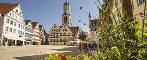 Biberach An Der Riss : ενοικίαση ιδιωτικού τζετ 