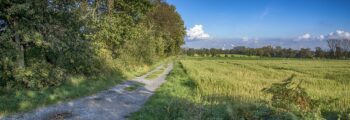 Caransebeș : location de jet privé