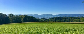 Dubendorf: ενοικίαση ιδιωτικού τζετ 