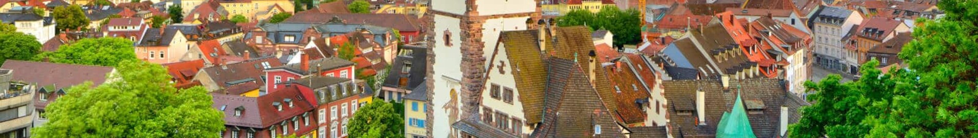 Freiburg-en-Brisgau: ενοικίαση ιδιωτικού τζετ 