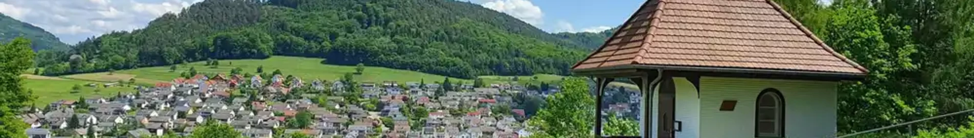 Lahr Black Forest: ενοικίαση ιδιωτικού τζετ 
