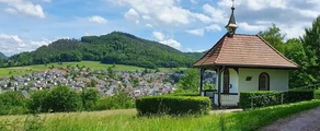 Lahr Black Forest: ενοικίαση ιδιωτικού τζετ 
