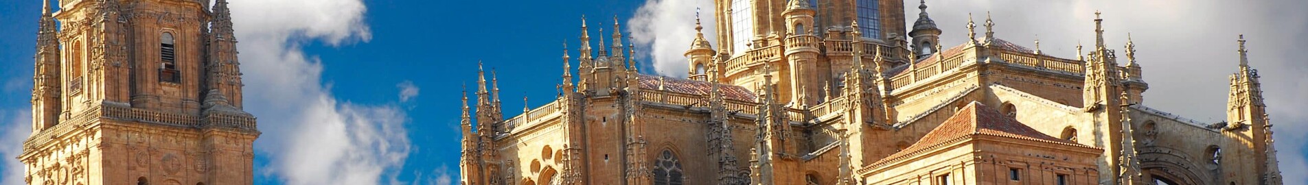 Salamanca Matacan : ενοικίαση ιδιωτικού τζετ 