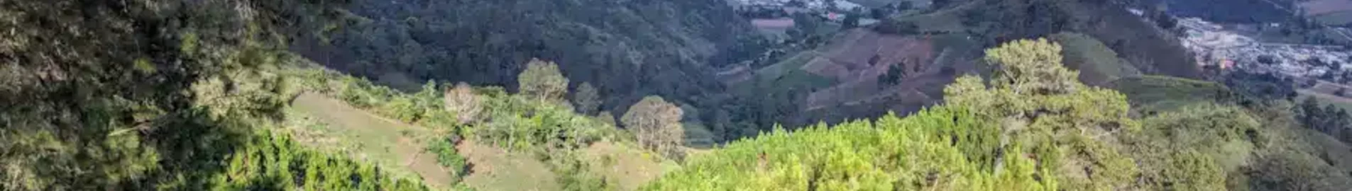 Constanza : ενοικίαση ιδιωτικού τζετ