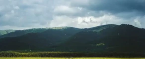 Gelendzhik : ενοικίαση ιδιωτικού τζετ