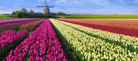 Middelburg Midden Zeeland : τοποθεσία ιδιωτικού τζετ