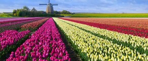 Hoogeveen : τοποθεσία ιδιωτικού τζετ