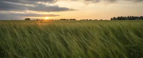Kemerovo : ενοικίαση ιδιωτικού τζετ