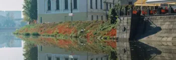 Jet privé : chemin verdoyant menant à un bâtiment blanc.