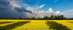 Khmelnitsky : ενοικίαση ιδιωτικού τζετ