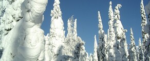 Kuusamo : ενοικίαση ιδιωτικού τζετ 