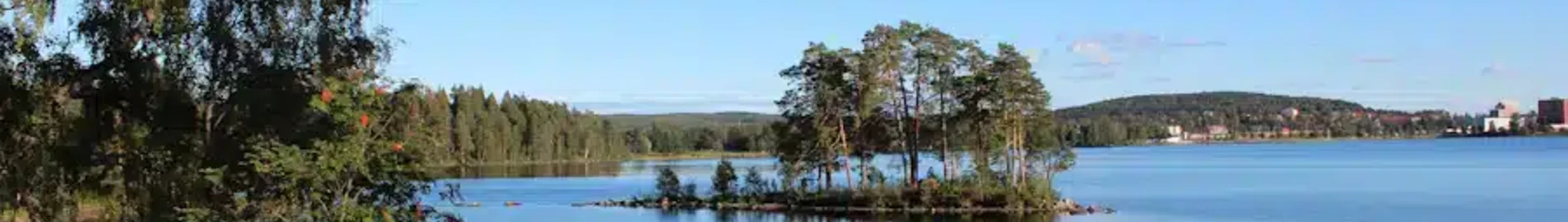 Ludvika: ενοικίαση ιδιωτικού τζετ
