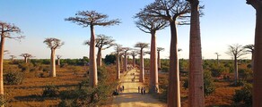 Morondava : ενοικίαση ιδιωτικού τζετ
