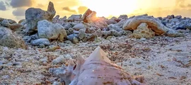 Άγιος Βικέντιος & Γρεναδίνες : Ενοικίαση ιδιωτικού τζετ