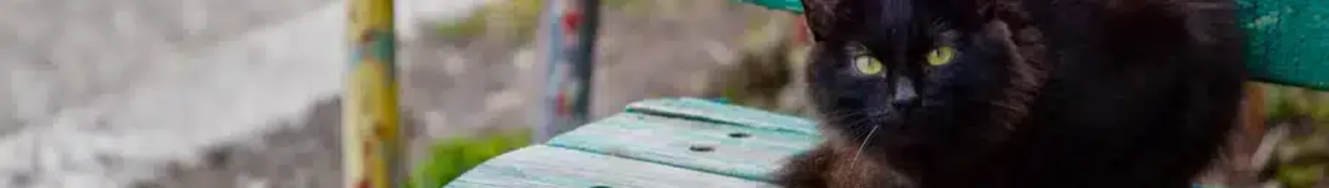 Nizhnekamsk Begishevo : ενοικίαση ιδιωτικών τζετ