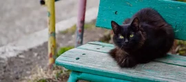 Bryansk : ενοικίαση ιδιωτικού τζετ