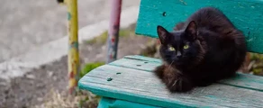 Nizhnekamsk Begishevo : ενοικίαση ιδιωτικών τζετ