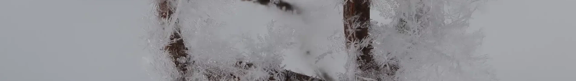 Orenburg : ενοικίαση ιδιωτικού τζετ