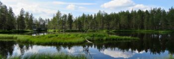 Lahr Black Forest : location de jet privé