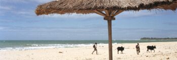 location jet privé : vue aérienne côte, eau turquoise