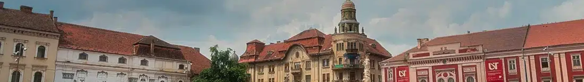 Satu Mare: ενοικίαση ιδιωτικού τζετ