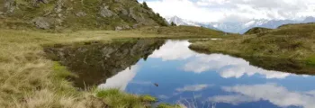 andapa: location de jet privé