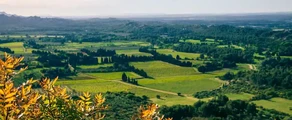 Ales Deaux : ενοικίαση ιδιωτικού τζετ