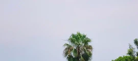 Λαϊκή Δημοκρατία του Κονγκό : ενοικίαση ιδιωτικών τζετ στη Λαϊκή Δημοκρατία του Κονγκό