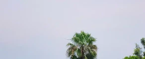 Bunia : ενοικίαση ιδιωτικού τζετ