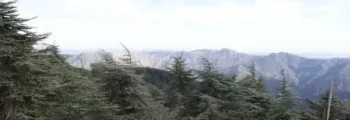 france : location de jet privé