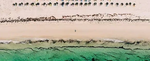 Djerba Zarzis : ενοικίαση ιδιωτικών τζετ
