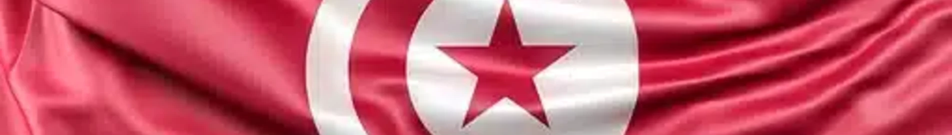 Επαναπατρισμός στην Τυνησία: διαδικασίες, τιμές και εξατομικευμένες λύσεις
