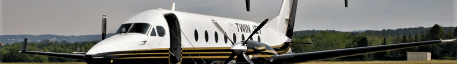 Twin Jet : αεροπορική εταιρεία