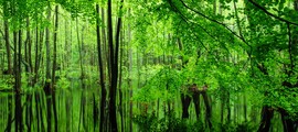 Saarbrucken : ενοικίαση ιδιωτικού τζετ