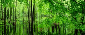 Ενοικίαση ιδιωτικού τζετ στο Eberswalde