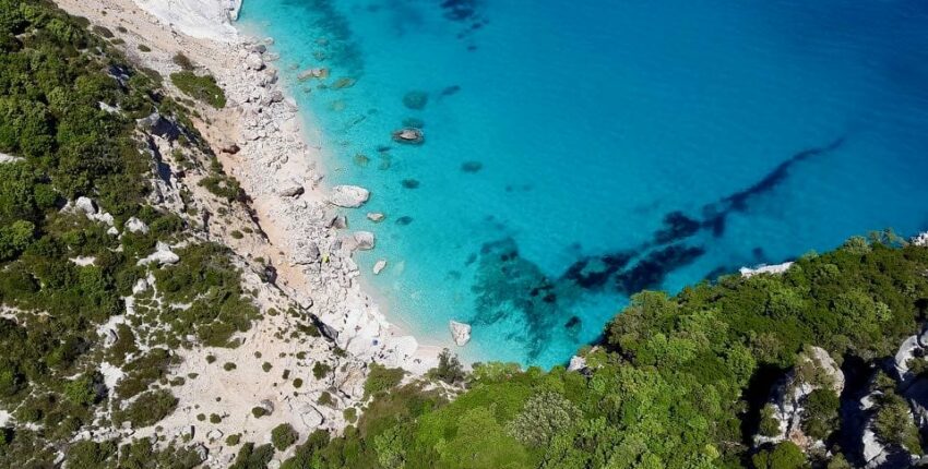 Άμστερνταμ - Όλμπια : ενοικίαση ιδιωτικού τζετ