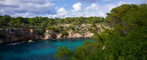 Φρανκφούρτη - Πάλμα : ενοικίαση ιδιωτικού τζετ
