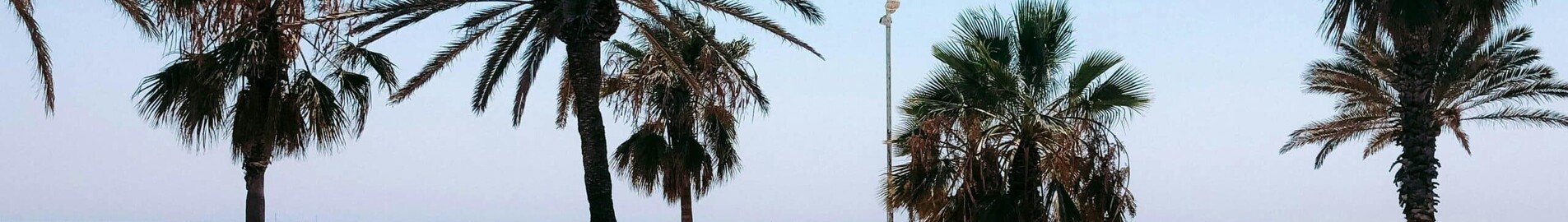 Φρανκφούρτη - Βαρκελώνη: ενοικίαση ιδιωτικού τζετ