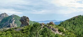 Παρίσι - Figari : ενοικίαση ιδιωτικού τζετ 