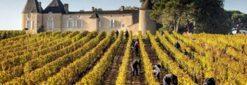 vignobles de bourgogne